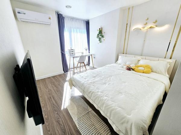 �͹����������ú �Ѳ��