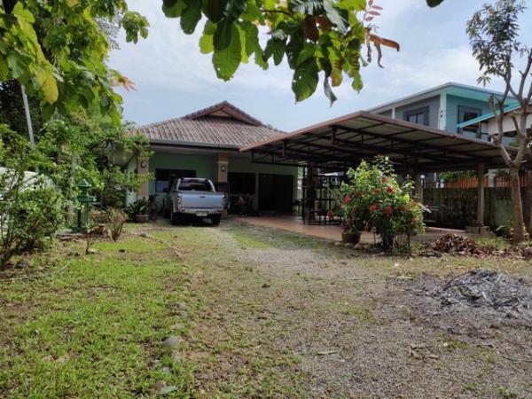 �ҧ�� �� sopa