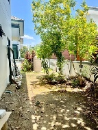 ��º�ҹ �ҧ�ع��¹