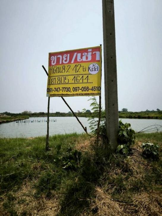 ��ط��Ҥ� �� zionasset1