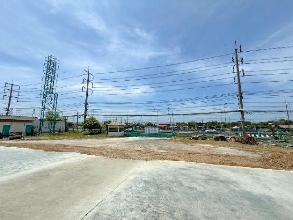 �ç�ҹ international