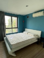 ��¤͹� �Ѳ��