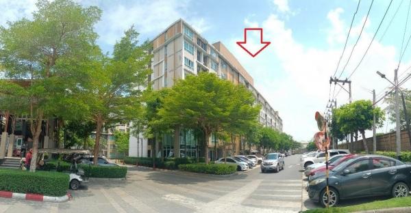 �Ҵ�˭� �� panaya.opalopal