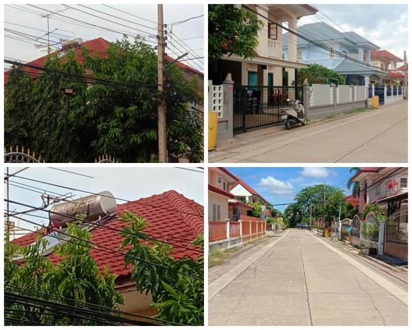 ขายบ้าน ถนนราชพฤกษ์