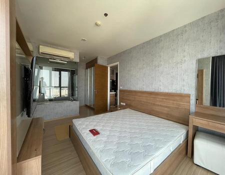 �͹ⴤ�ͧ�� �� incube