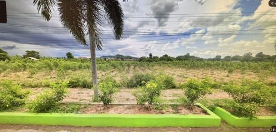 ����Ҫ���� �� Estate Corner