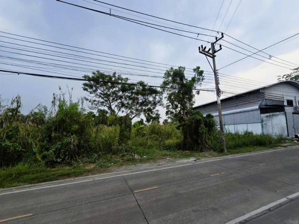 ���⤡ �� Nititut