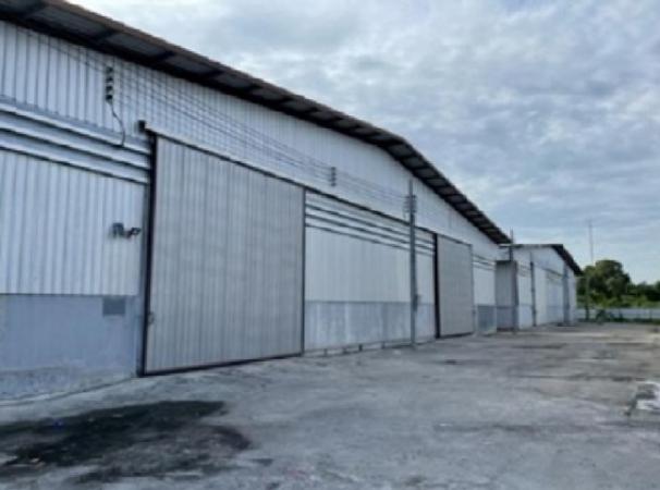 �͹���ͧ �� sumalee intavong