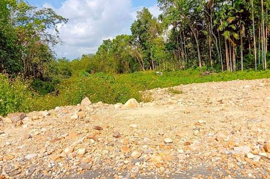 ���Թ ����