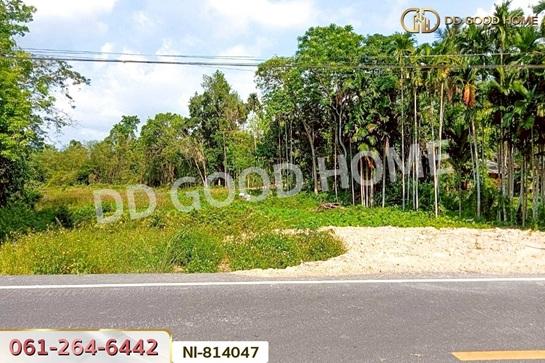 ��·��Թ ���ͧ��������