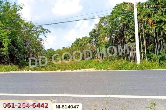 ��·��Թ ���ͧ��������