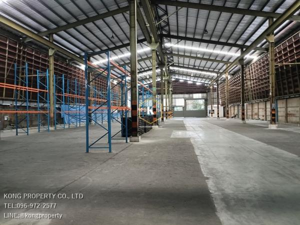 �ҧࢹ �� Kong property