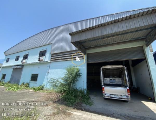 ��ط��Ҥ� �� Kong property