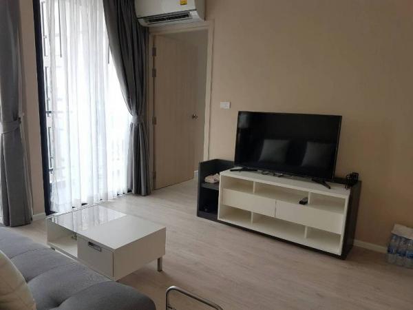 �Ң�ѭ �Ź�����