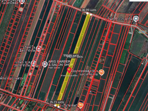 ���Թ��ҹ˹�ҵԴ��� �Ҵ�������