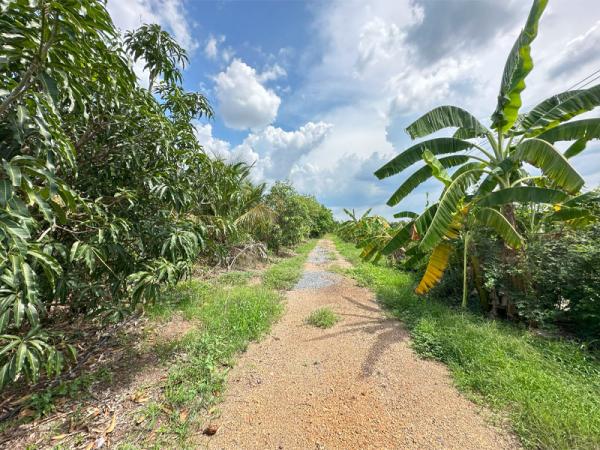 ���Թ�Ҵ������� �Ҵ�������