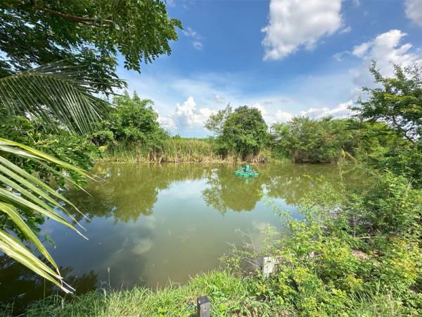 ���Թ�����ҹ� �Ҵ�������