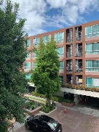 ������ �͹� 37 ���ҧ����