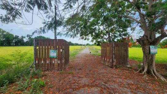 �����к��� �� Estate Corner