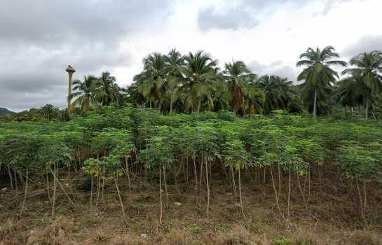 ��ªź��� �� Asset X Property