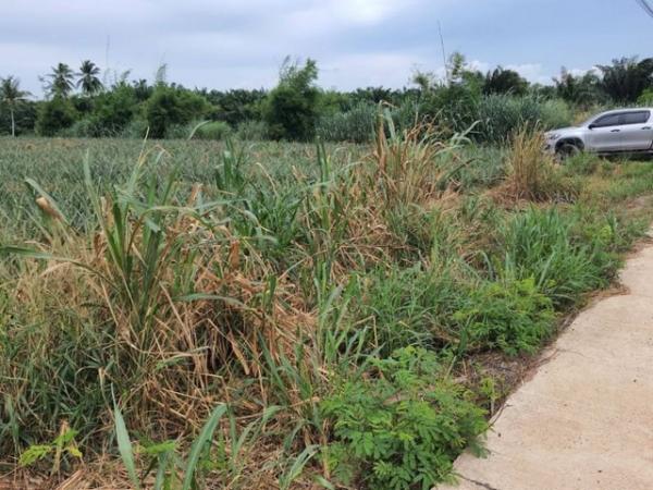 ˹ͧ�˭� �� ahousepost9