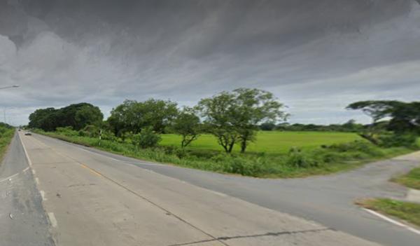 ที่ดิน 19 ไร่ ที่ดิน 19 ไร่