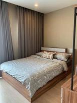 ��� ��ǹ����