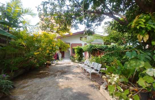 ���ͧ �� Asset X Property