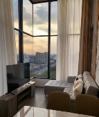 �����Ҥ͹������� �Ҥһ�С�������� 36,000 �ҷ/��͹