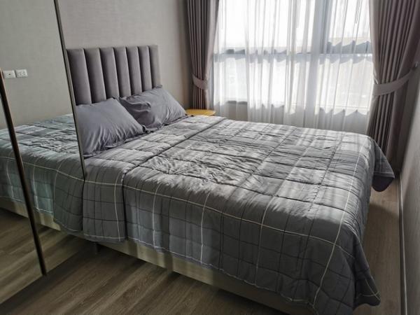 �͹�Onnut �Ѳ��