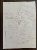 ���Թ �����