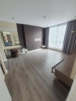 �͹ⴤ�ͧ�� �� incube