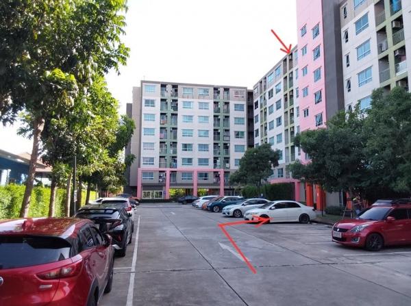 ���� �� compos2566