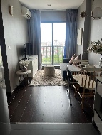 ������ �͹�