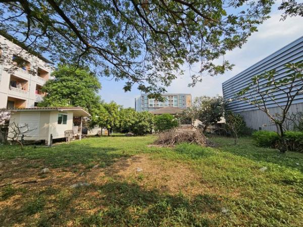 ��·��Թbts���