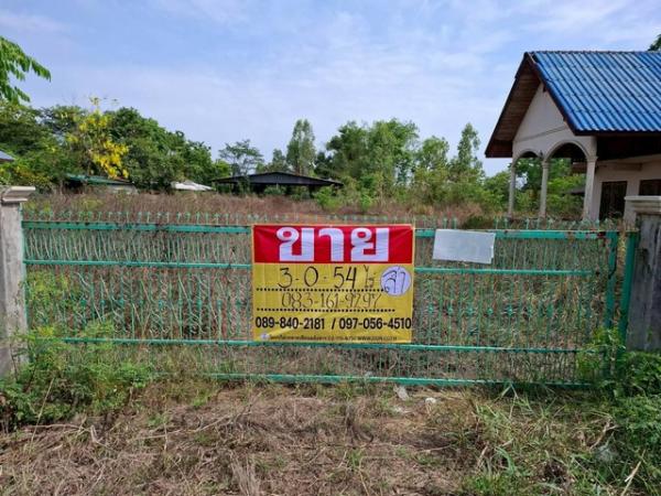 ˹ͧ��� �� zionasset1