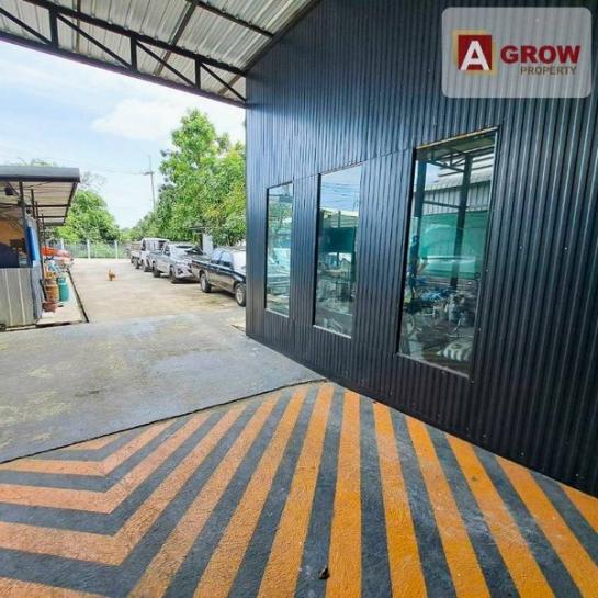 ⡴ѧ �Ԥ� �ź���