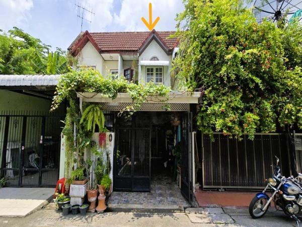 �Ҵ����� �� Nititut