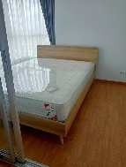 ������ �͹�