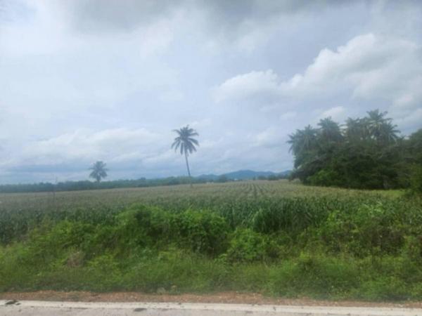 ��к��� �� sopa