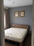 ��� �͹� �Ҫ��� ��ا෾