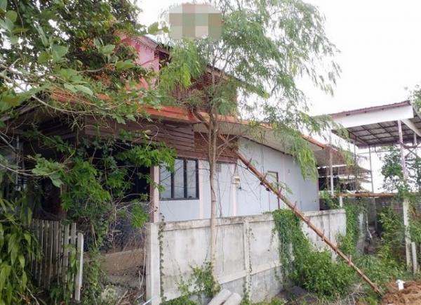 บ้านภูเขียว ชัยภูมิ บ้านภูเขียว ชัยภูมิ