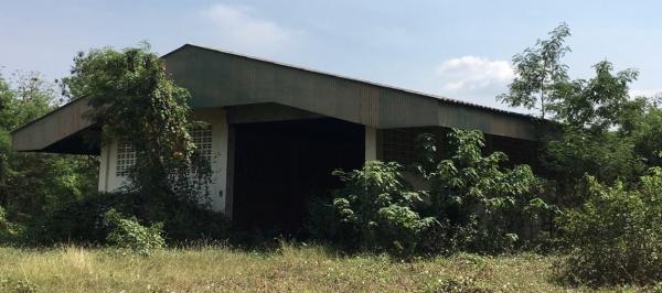 ⡴ѧ �ҭ������