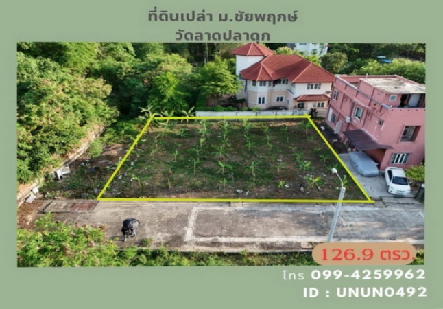 ���Թ ���: