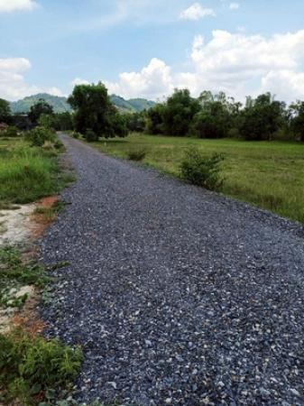 ���Թ ���ǹ ��ù�¡