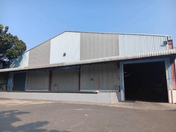 ����Ҫ� �� goodlada24