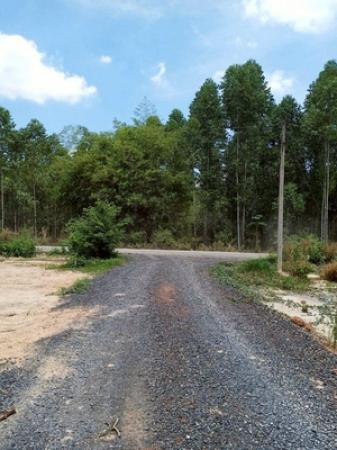 ���Թ ���ǹ ��ù�¡