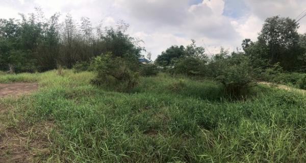 �ʹ� �� zionasset1