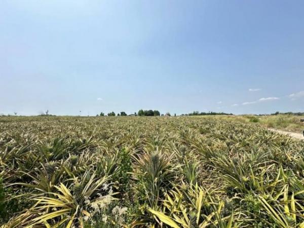 �ź��� �� ahousepost9