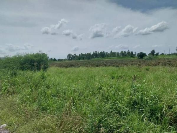 �ѵ�պ �� ahousepost9